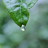 克瓦拉茨赫利亚